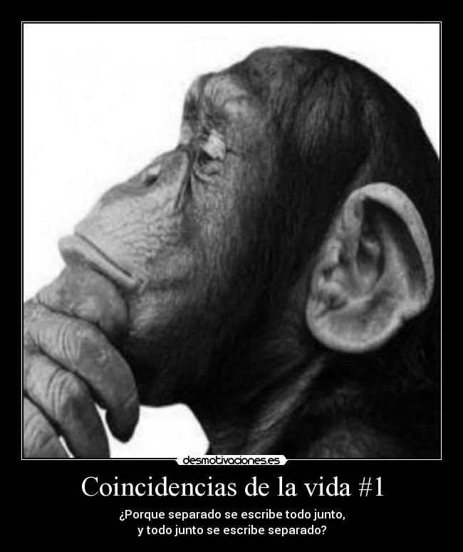 Coincidencias de la vida #1 -