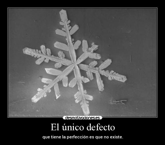 carteles elclanviral hipsalami rectifico bollicao perfecto desmotivaciones