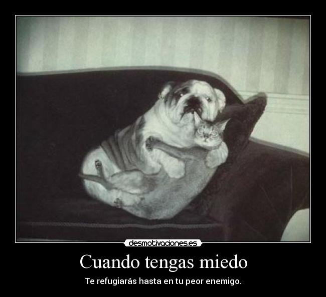 Cuando tengas miedo - Te refugiarás hasta en tu peor enemigo.