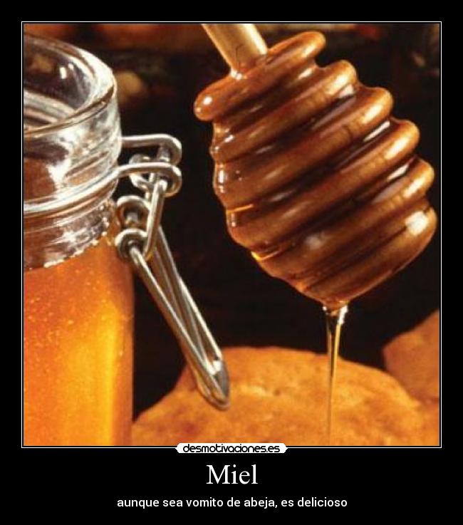 Miel - aunque sea vomito de abeja, es delicioso