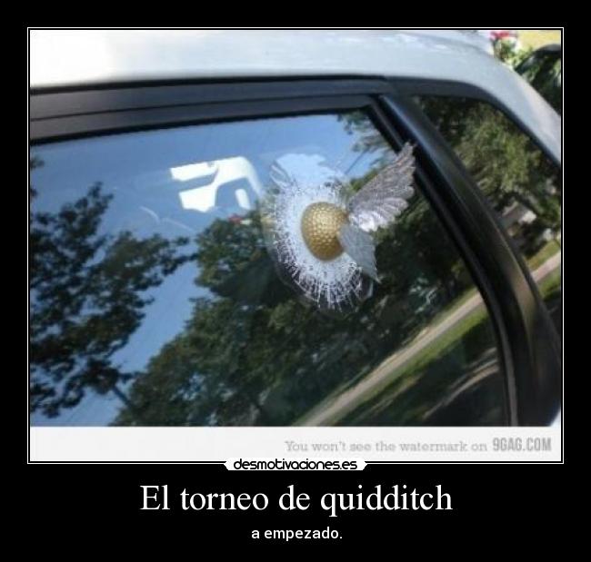 El torneo de quidditch -