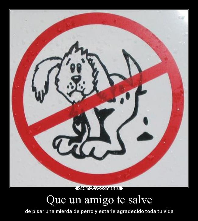 carteles mierda perro desmotivaciones