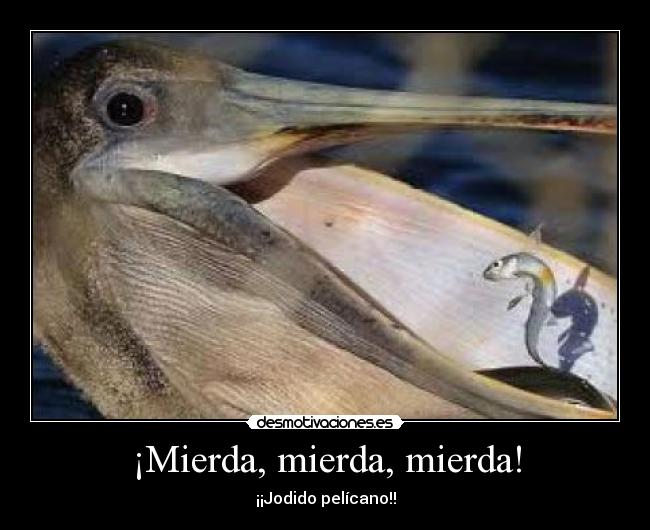 ¡Mierda, mierda, mierda! - 