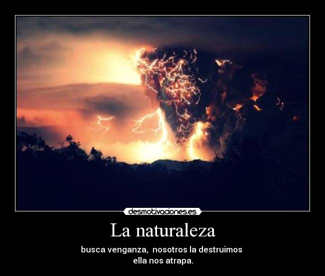 La naturaleza - 