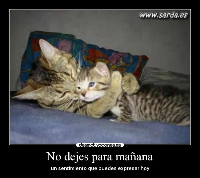 No dejes para mañana -