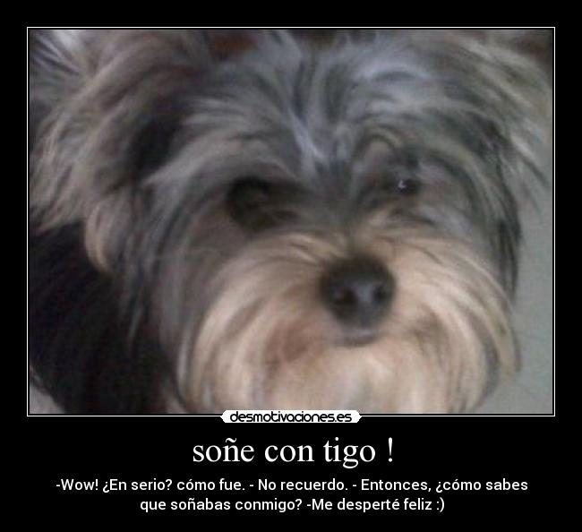 carteles sin saber que colocar etiqueta desmotivaciones