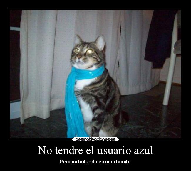 carteles lrc1894 envidenme bufanda todo estilo felino desmotivaciones