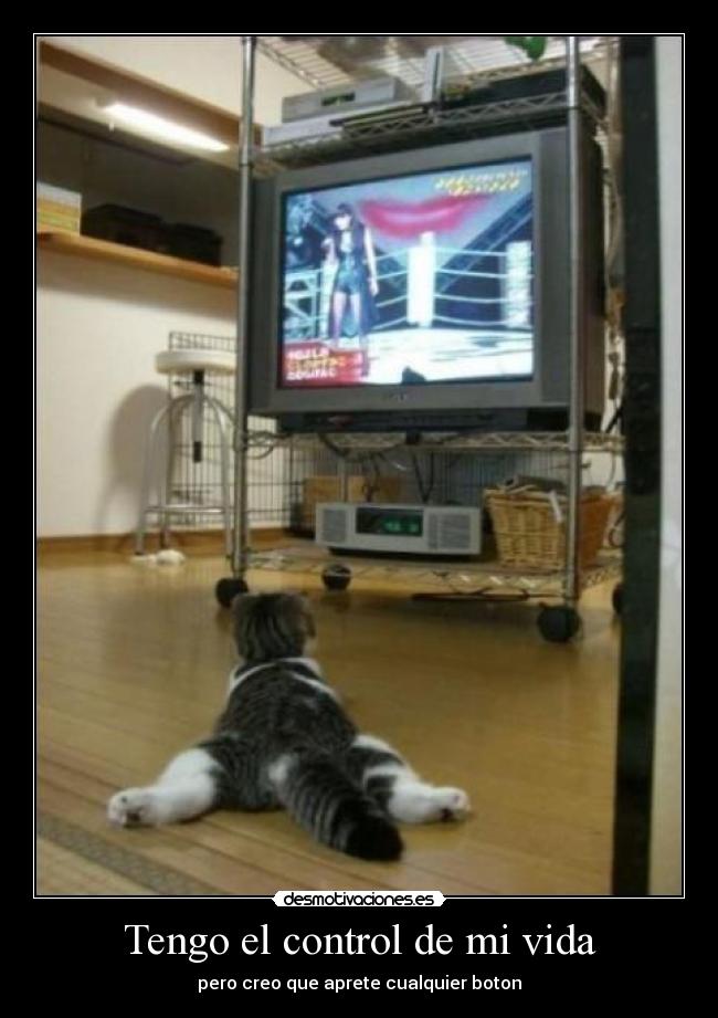 Tengo el control de mi vida - 