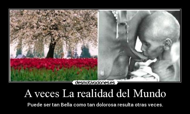 carteles mundo humanidad fe fundaciones respuestas mundo desmotivaciones