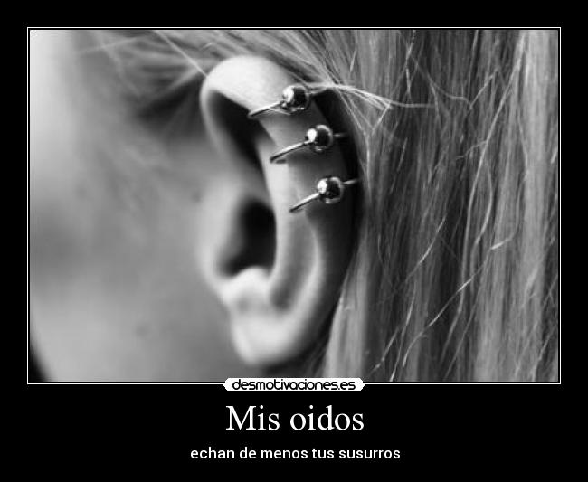 Mis oidos - 