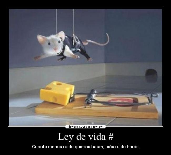 Ley de vida # - 