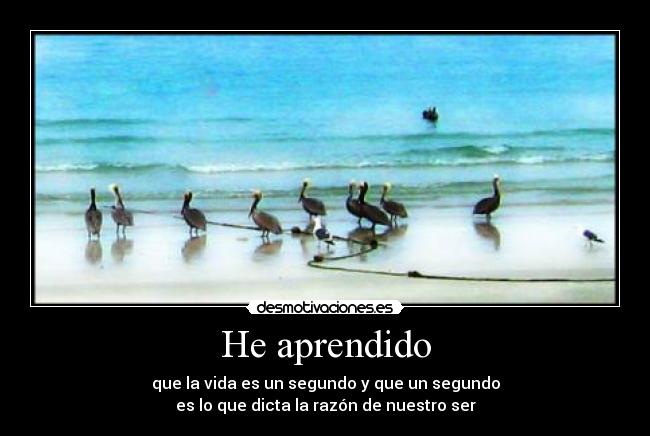 He aprendido - que la vida es un segundo y que un segundo
es lo que dicta la razón de nuestro ser