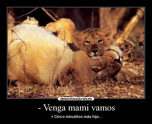 - Venga mami vamos - 