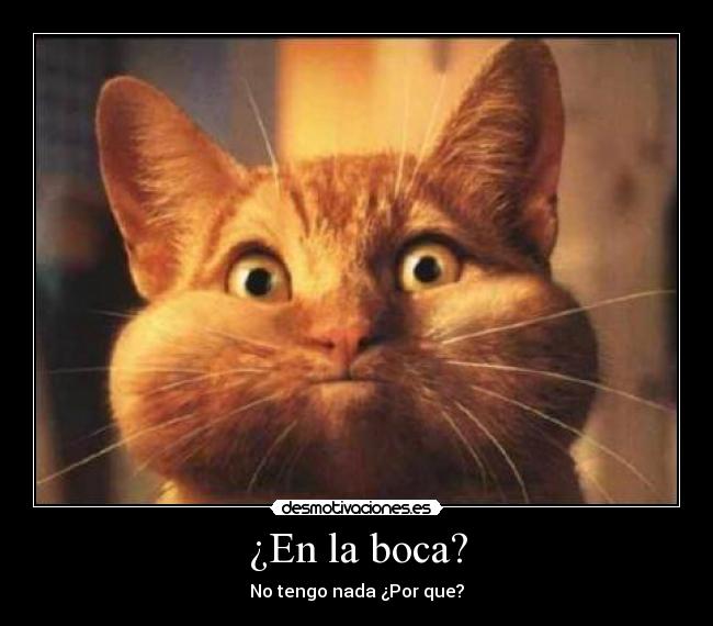 ¿En la boca? - No tengo nada ¿Por que?