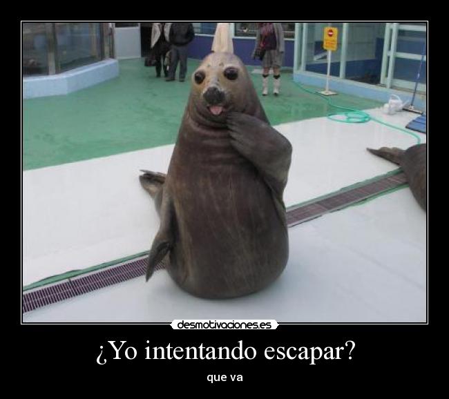 carteles  desmotivaciones