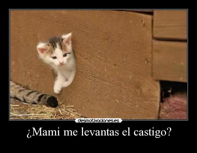 carteles hgygfd desmotivaciones