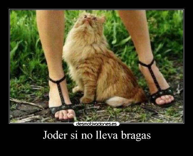 carteles desmotivaciones