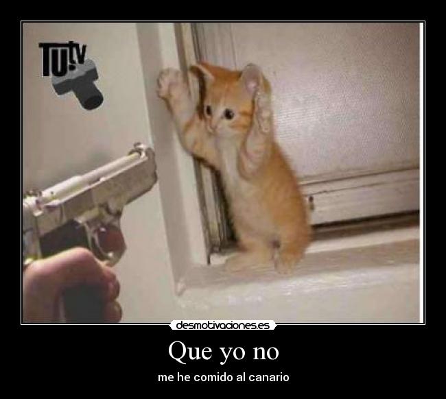 Que yo no -