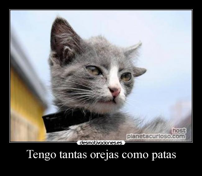 carteles cad desmotivaciones