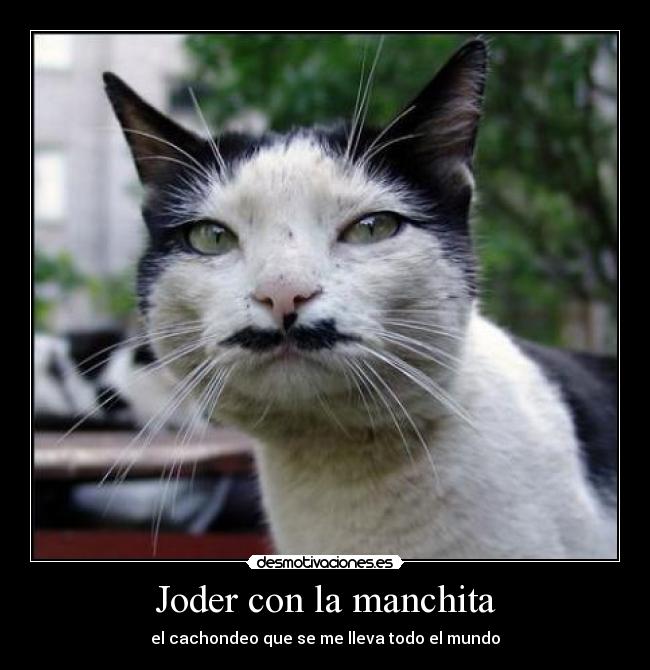 Joder con la manchita - 