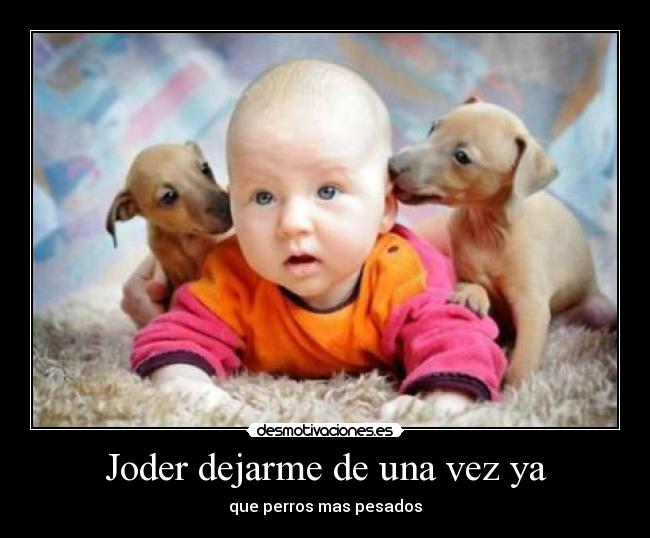 Joder dejarme de una vez ya - que perros mas pesados
