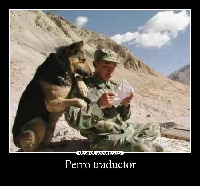 Perro traductor -