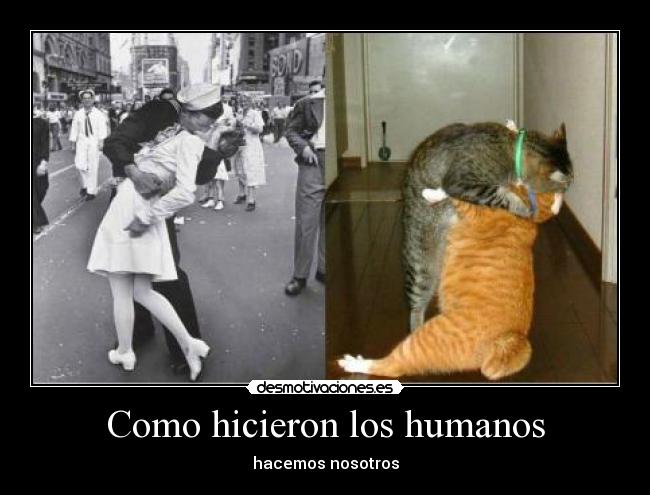 Como hicieron los humanos - 