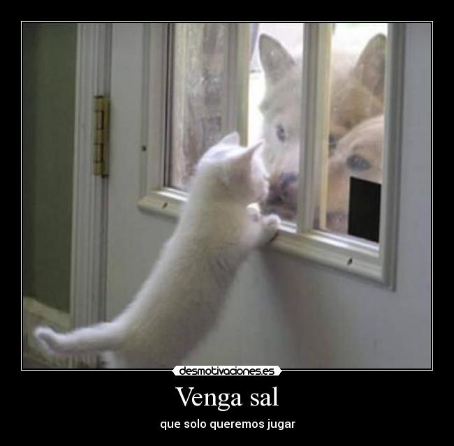 Venga sal - 