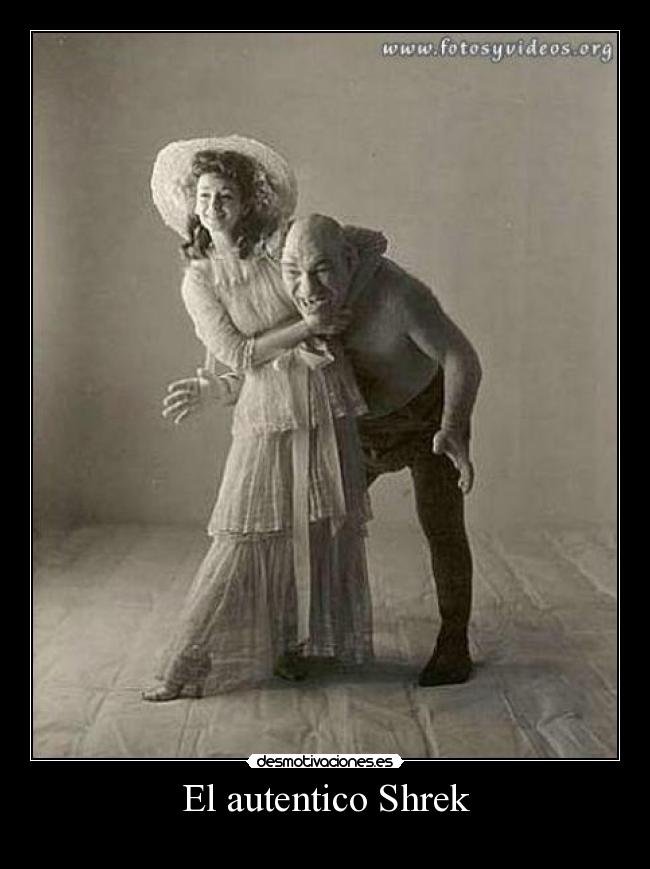 carteles sdfg desmotivaciones