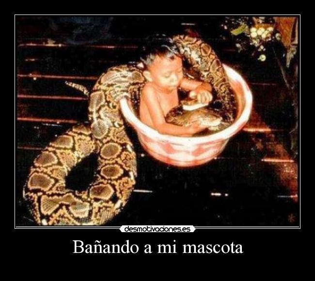 Bañando a mi mascota -