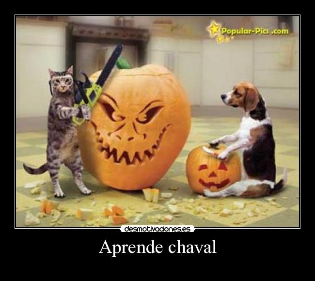 Aprende chaval - 