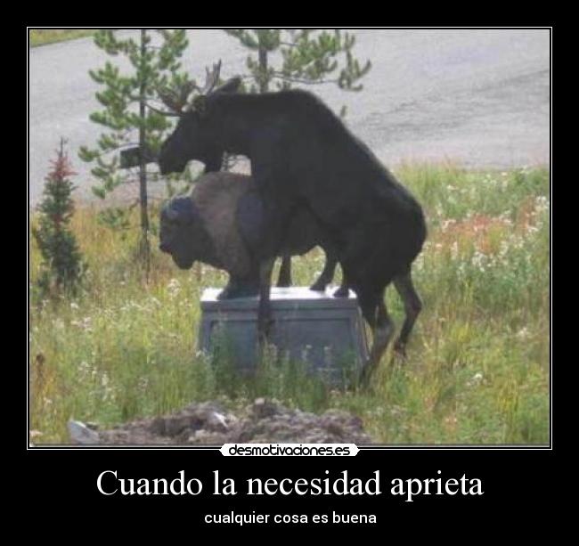 Cuando la necesidad aprieta - cualquier cosa es buena