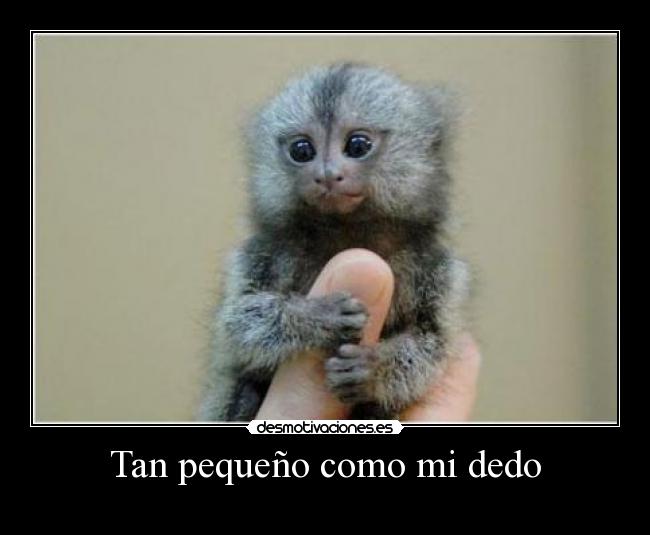 carteles desmotivaciones