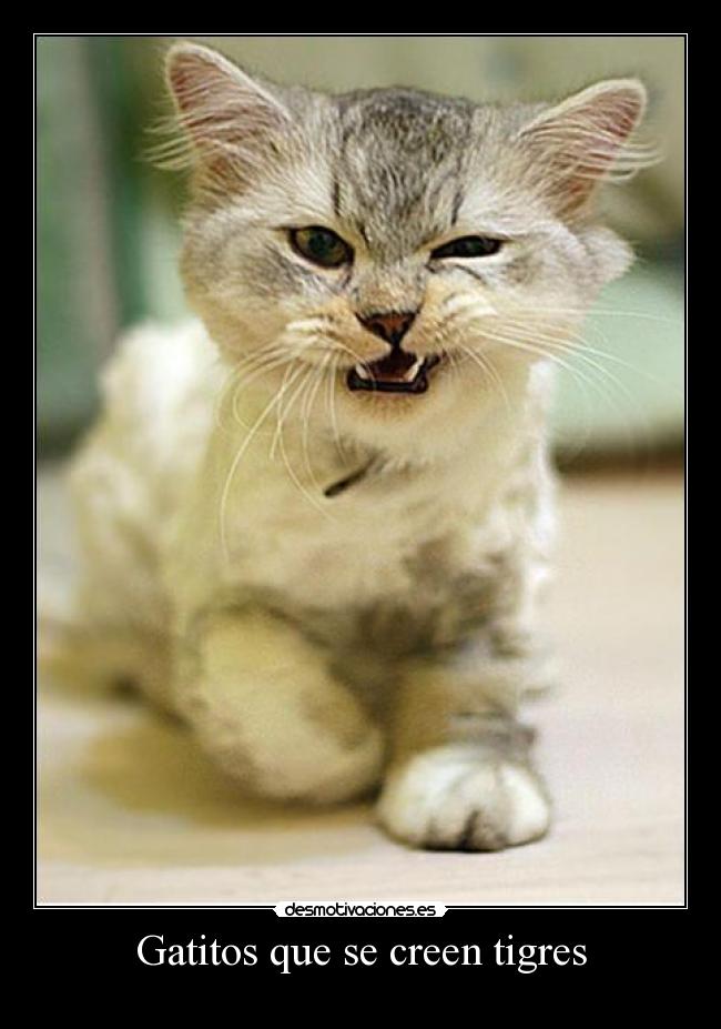 carteles sdfs desmotivaciones