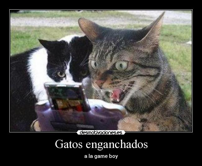 Gatos enganchados - a la game boy