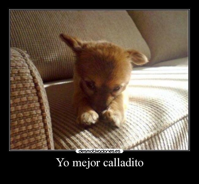 Yo mejor calladito -