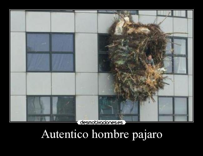 Autentico hombre pajaro - 