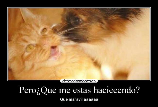 Pero¿Que me estas hacieeendo? -