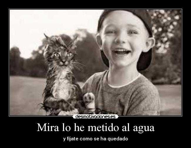 Mira lo he metido al agua -