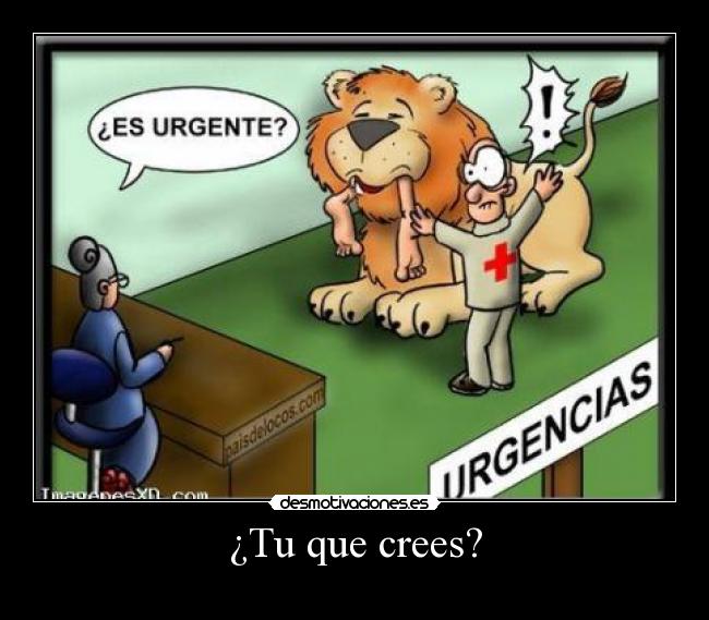 ¿Tu que crees? -