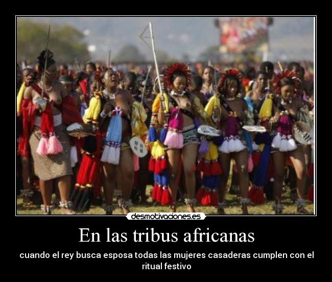 En las tribus africanas - cuando el rey busca esposa todas las mujeres casaderas cumplen con el ritual festivo