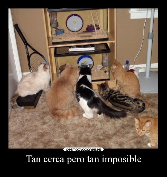 Tan cerca pero tan imposible -