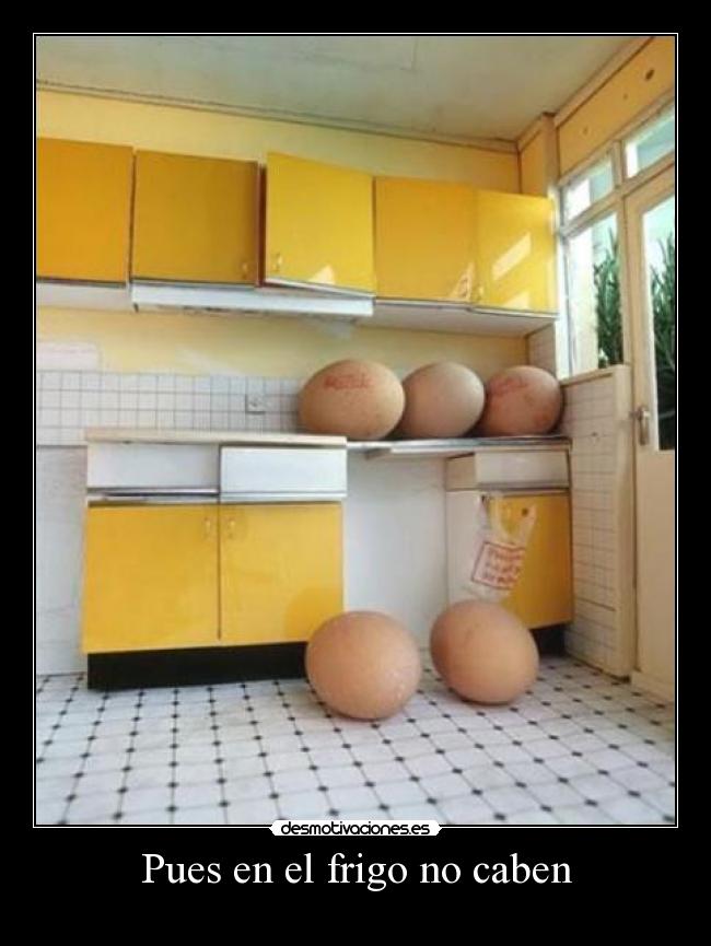 Pues en el frigo no caben -