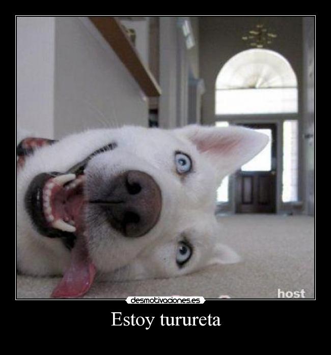 Estoy turureta - 