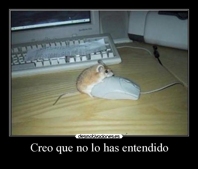 Creo que no lo has entendido -