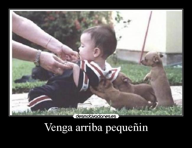Venga arriba pequeñin -