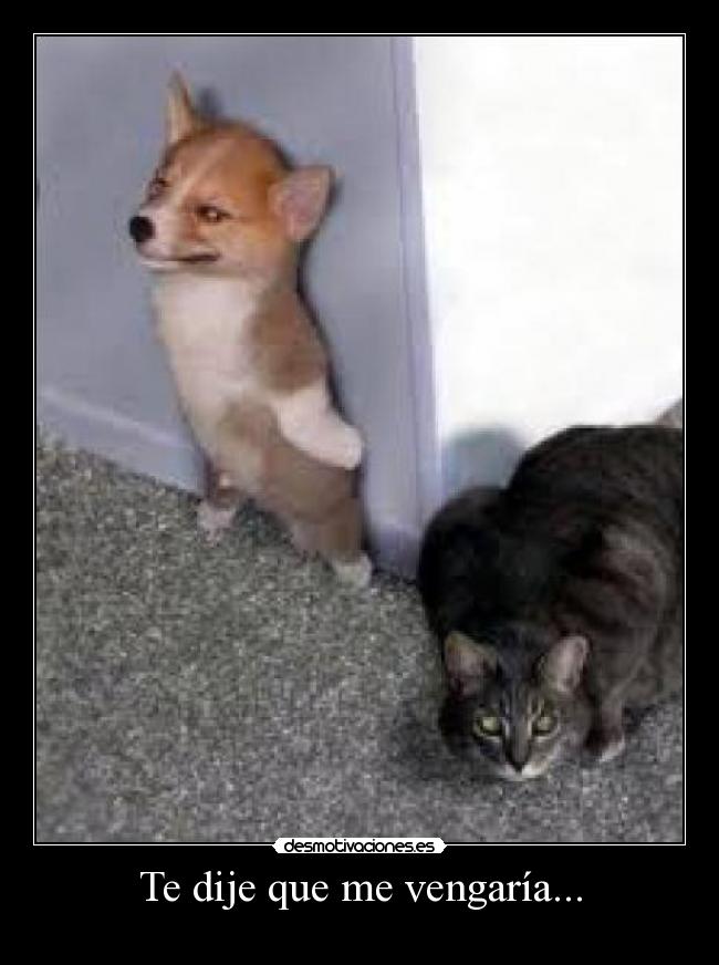 Te dije que me vengaría... -
