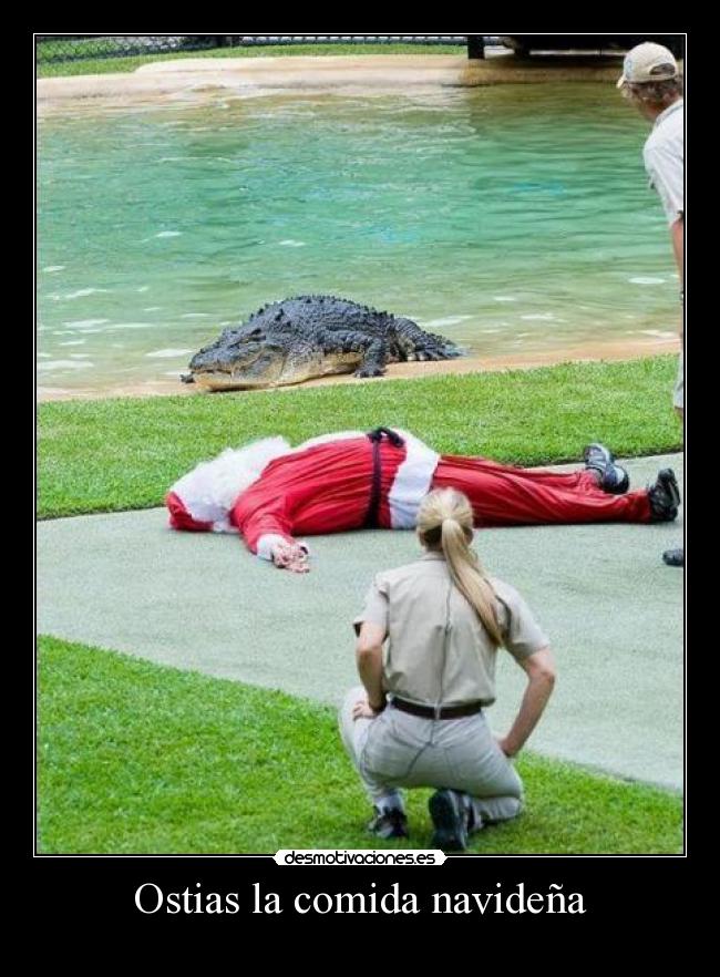 Ostias la comida navideña - 