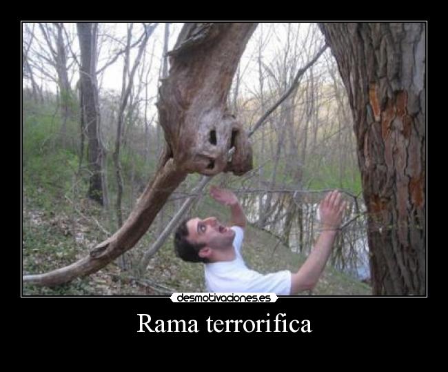 Rama terrorifica -