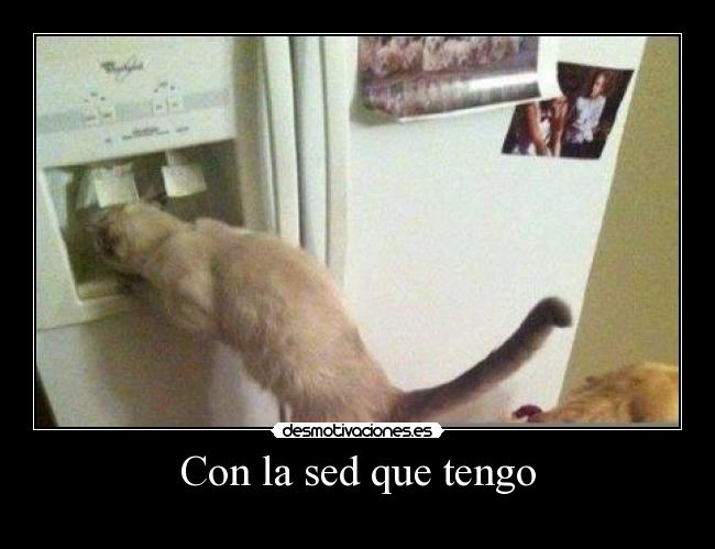 Con la sed que tengo -
